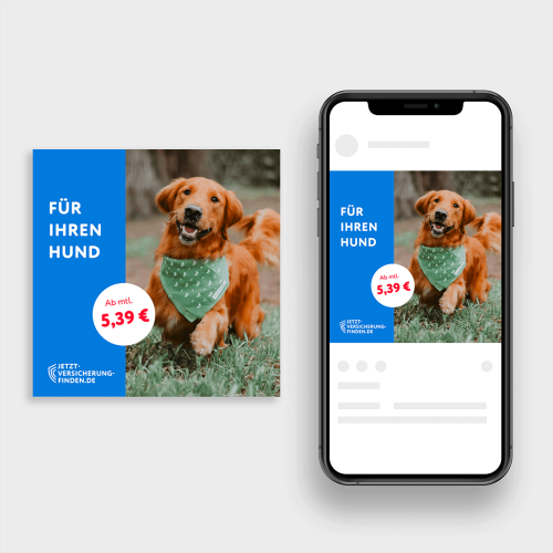 Schoenmakersdesign_Grafikdesign_Ads_Socialdesign_Tierversicherung_1